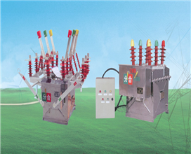 ZW8-12(G) / T户外高压交流真空断路器